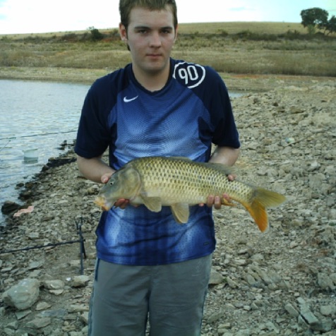 You can catch a hundred carp a day! You can catch a hundred carp a day!